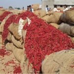 સોનાના ભાવમાં સતત બીજા દિવસે ઉછાળો, લગ્ન સિઝનમાં મોંઘી પડશે ખરીદી