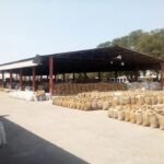 સોમનાથ કાર્તિકી પૂર્ણિમા મેળામાં પ્રથમ દિવસે ૧ લાખથી વધુ લોકો ઉમટ્યા