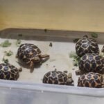 Ahmedabad: શિલજમાં નવું સ્મશાન તૈયાર, પ્રાર્થનાહોલ અને કાફેટેરિયાની સુવિધા