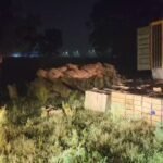 ઠંડીનું જોર વધશેઃ હિમાચલમાં હિમવર્ષાથી તાપમાન ઘટશે, શિતલહેર શરૂ થશે