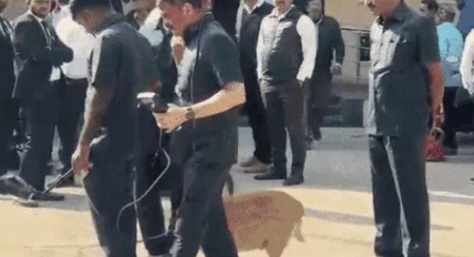 સુરતની જિલ્લા કોર્ટને બોમ્બથી ઉડાવી દેવાની ધમકી