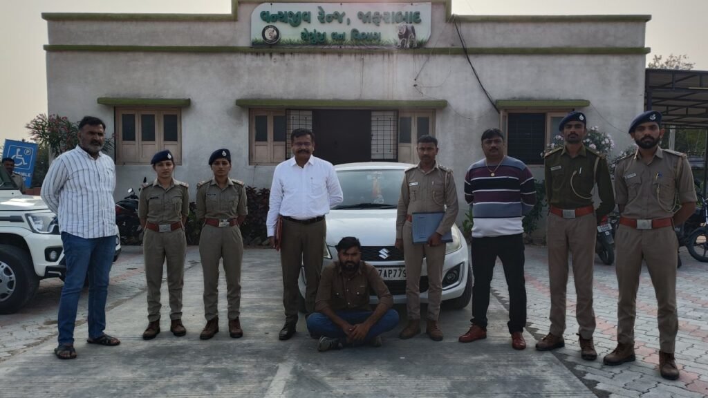 Amreli: હેમાળ ગામમાં સિંહણને કચડીને ફરાર થનારો આરોપી અમદાવાદથી ઝડપાયો
