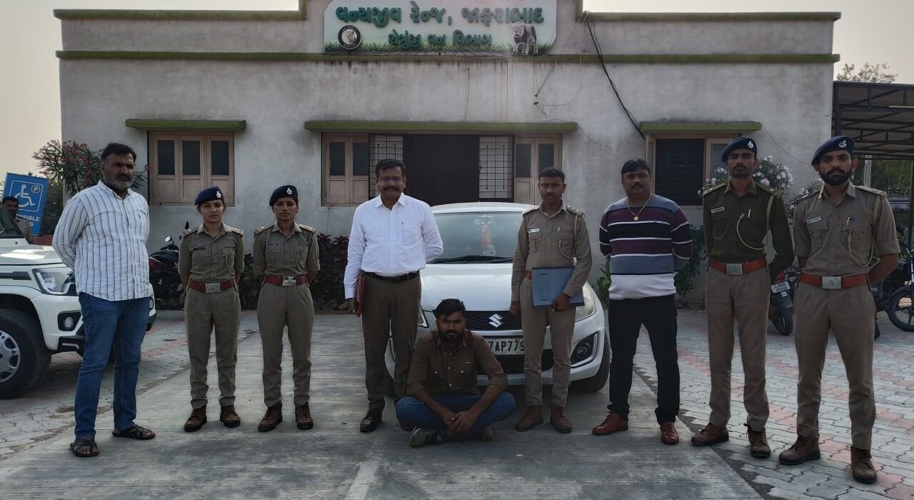 હેમાળ ગામમાં સિંહણને કચડીને ફરાર થનારો આરોપી અમદાવાદથી ઝડપાયો