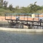 Bhavnagar News: બેફામ બનેલા ખનીજ ચોરો સામે કાર્યવાહી, ગ્રામ્ય મામલતદારે ઓવરલોડ ખનીજ ભરેલું ડમ્પર ઝડપ્યું