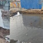 Gujarat News: દાહોદના પોલીસ કર્મીઓએ જ કરી દારૂની હેરાફેરી, LCBએ પીછો કરી મુદ્દામાલ પકડયો પણ આરોપીઓ ફરાર