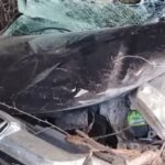 Gujarat News: ખેડૂતોને ટેકાના ભાવે વેચેલી મગફળીના રૂપિયા નથી મળ્યા, પાલભાઈ આંબલિયાએ કૃષિમંત્રીને પત્રમાં શું લખ્યું?