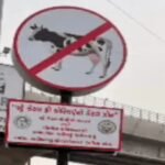 Ahmedabad News: સેવન્થ ડે સ્કૂલ જેવી ઘટના, એક વિદ્યાર્થીએ બીજા વિદ્યાર્થીની પાણીની બોટલમાં કેમિકલની ગોળીઓ નાંખી